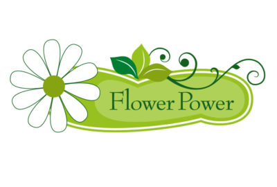Webseiten Gestaltung und Pflege für Flower Power Rosenheim